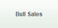 Bull Sales
