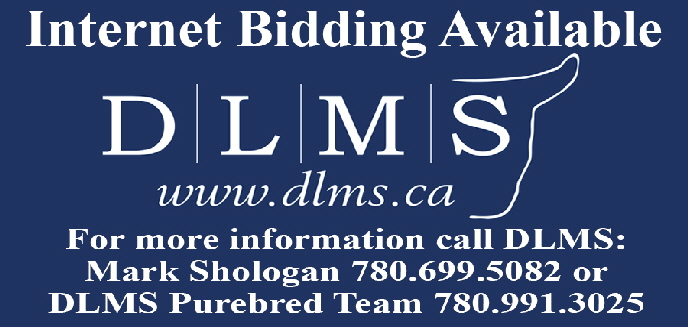 DLMS Purebred Sale Image SMALL 2023