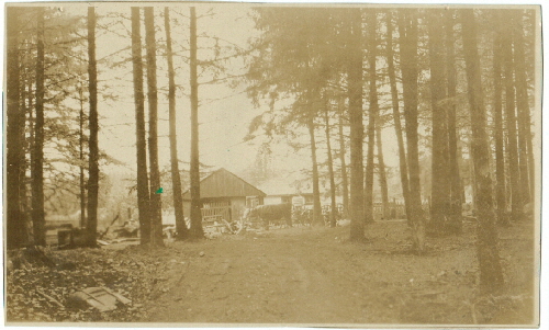 Ranch driveway 1950